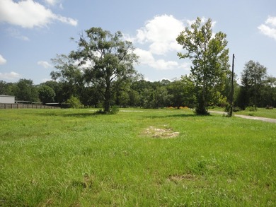 13.14 +/- acres located on Highway 90 has a bulk head on the - photo 10