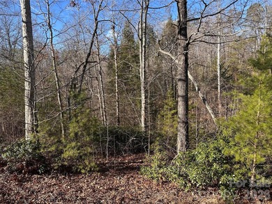 Nestled in a quiet area near the walking trails in Vista at - photo 1