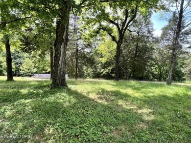 Lake Lot For Sale in Speedwell, Tennessee