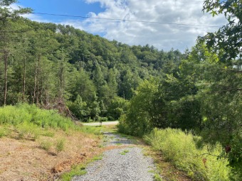 Tellico Lake Commercial For Sale in Vonore Tennessee