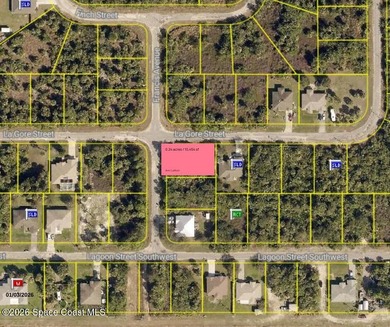 Build your dream home in one of Palm Bay's fastest-growing - photo 1