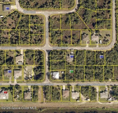 Build your dream home in one of Palm Bay's fastest-growing - photo 2
