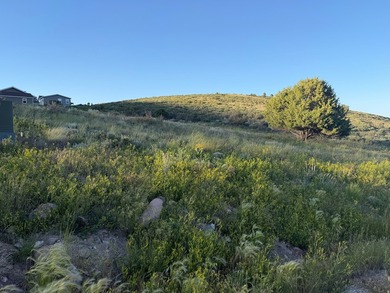 Discover the perfect setting for your Bear Lake dream home on - photo 3