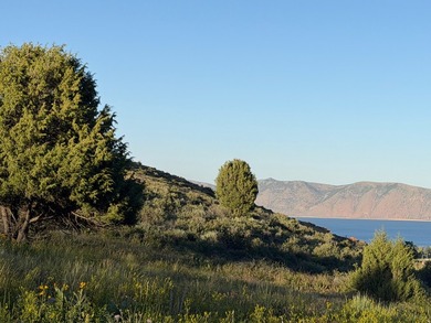 Discover the perfect setting for your Bear Lake dream home on - photo 4