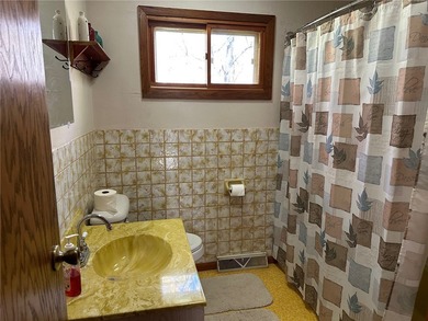 Room for the whole family!! Located on 101' feet of lake - photo 17
