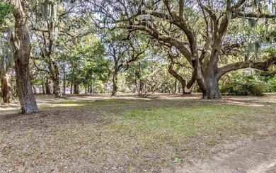 Nestled beneath a breathtaking canopy of centuries-old live oaks - photo 21