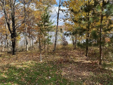 Room for the whole family!! Located on 101' feet of lake - photo 31