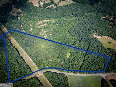 (private lake, pond, coastal) Acreage For Sale in Danielsville Georgia