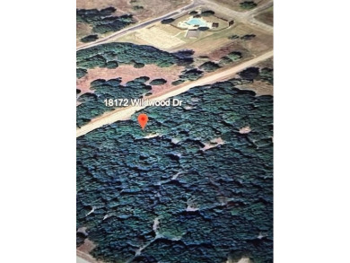 Lake Whitney Lot For Sale in Whitney Texas