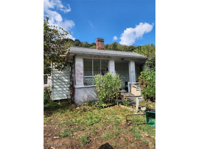 Ohio River Home For Sale in Tiltonsville Ohio