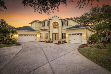 Platt Lake Home Sale Pending in Tampa Florida