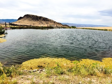(private lake, pond, creek) Acreage For Sale in Monroe Utah