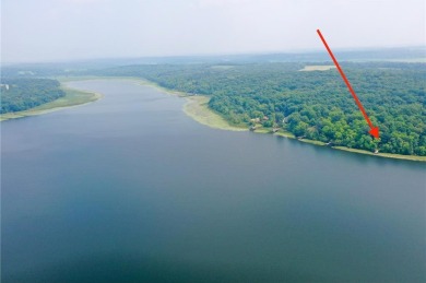 Lake Lot Sale Pending in Bruce Twp, Minnesota