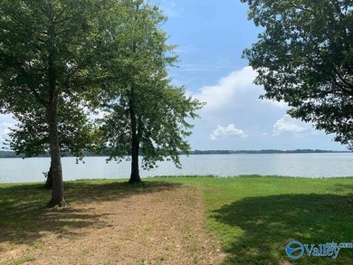 Enjoy extravagant views from the gated community of The Bluffs - photo 11