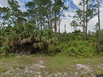 Lehigh Acres Area Lot For Sale in Lehigh Acres Florida