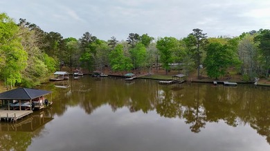Check out this Lake Sinclair home overlooking peaceful water - photo 34