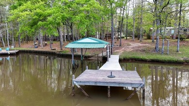 Check out this Lake Sinclair home overlooking peaceful water - photo 35