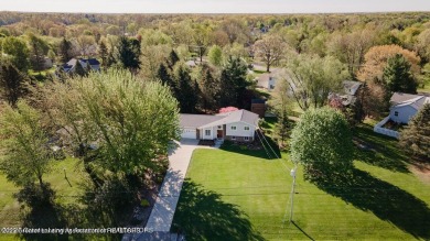 Lake Victoria Home For Sale in Laingsburg Michigan