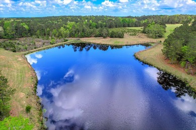 Discover the beauty and endless possibilities of this stunning - photo 31