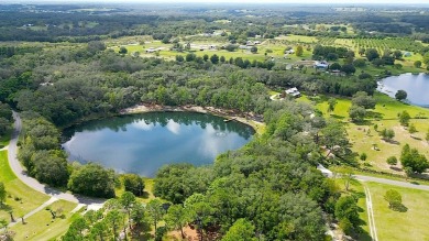 (private lake, pond, creek) Home For Sale in Weirsdale Florida