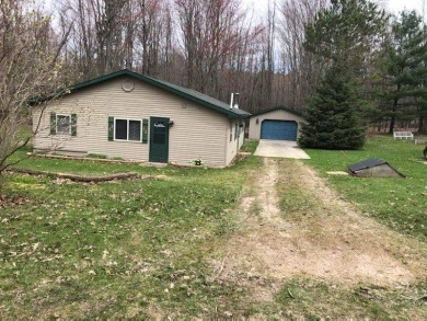 Half Moon Lake - Clare County Home For Sale in Lake Michigan