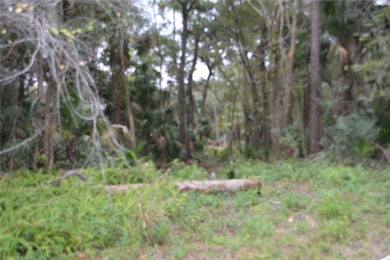 Lake Jesup  Lot For Sale in Sanford Florida