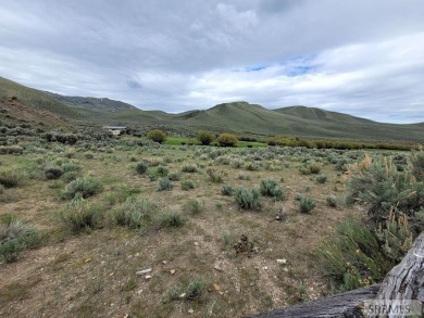 Lake Acreage For Sale in Clayton, Idaho