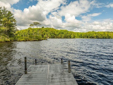 Seize this rare opportunity to own a year-round retreat on the - photo 4