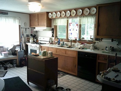 This beauty of a house is going to be a steal for whoever wants - photo 9