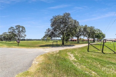 200-Acre Income-Producing Farm in Reidsville, GA! Exceptional - photo 11