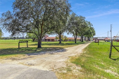 200-Acre Income-Producing Farm in Reidsville, GA! Exceptional - photo 12