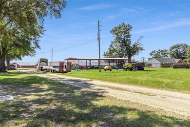 200-Acre Income-Producing Farm in Reidsville, GA! Exceptional - photo 15