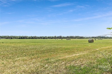 200-Acre Income-Producing Farm in Reidsville, GA! Exceptional - photo 16