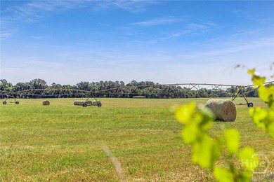 200-Acre Income-Producing Farm in Reidsville, GA! Exceptional - photo 17