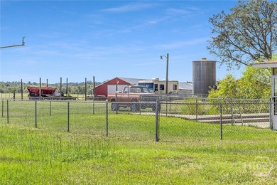 200-Acre Income-Producing Farm in Reidsville, GA! Exceptional - photo 18