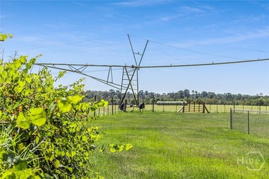 200-Acre Income-Producing Farm in Reidsville, GA! Exceptional - photo 19