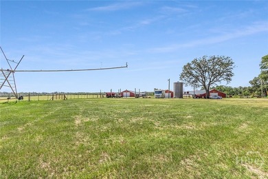 200-Acre Income-Producing Farm in Reidsville, GA! Exceptional - photo 25