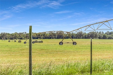 200-Acre Income-Producing Farm in Reidsville, GA! Exceptional - photo 26
