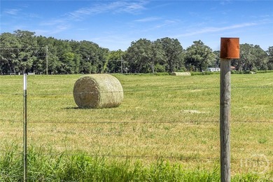 200-Acre Income-Producing Farm in Reidsville, GA! Exceptional - photo 27