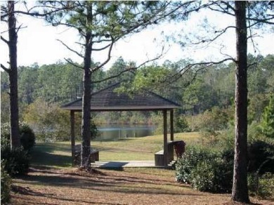 Lake Lot For Sale in Defuniak Springs, Florida