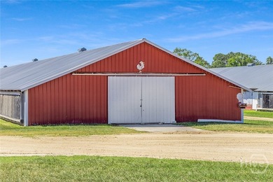 200-Acre Income-Producing Farm in Reidsville, GA! Exceptional - photo 31