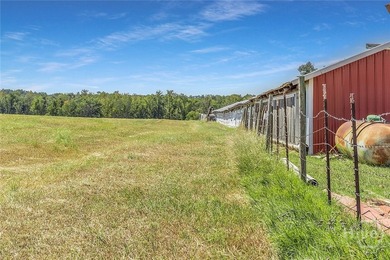 200-Acre Income-Producing Farm in Reidsville, GA! Exceptional - photo 35