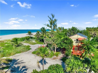 Own this little adorable Captiva beach cottage OR *IMAGINE* and - photo 37