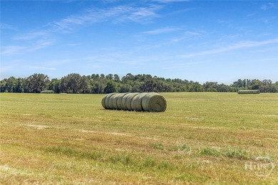 200-Acre Income-Producing Farm in Reidsville, GA! Exceptional - photo 38