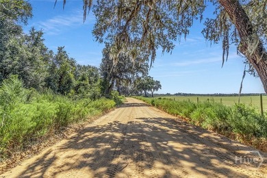 200-Acre Income-Producing Farm in Reidsville, GA! Exceptional - photo 39