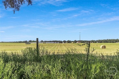200-Acre Income-Producing Farm in Reidsville, GA! Exceptional - photo 40