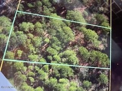 Bay Tree Lake Lot For Sale in Harrells North Carolina