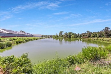 200-Acre Income-Producing Farm in Reidsville, GA! Exceptional - photo 41