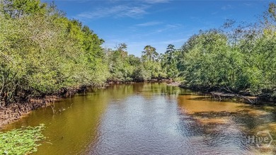 200-Acre Income-Producing Farm in Reidsville, GA! Exceptional - photo 43