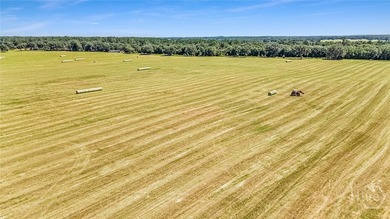 200-Acre Income-Producing Farm in Reidsville, GA! Exceptional - photo 44